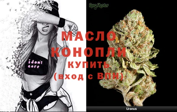 дживик Каменка