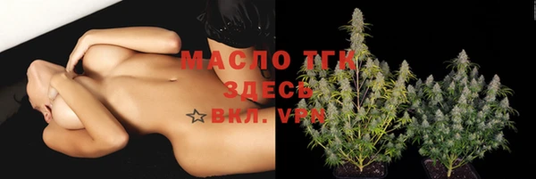 дживик Каменка
