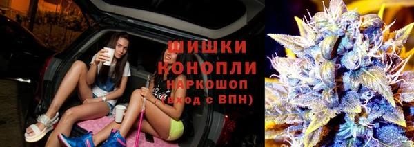 альфа пвп Каменногорск
