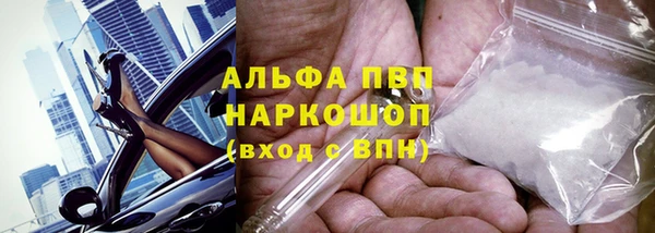дживик Каменка
