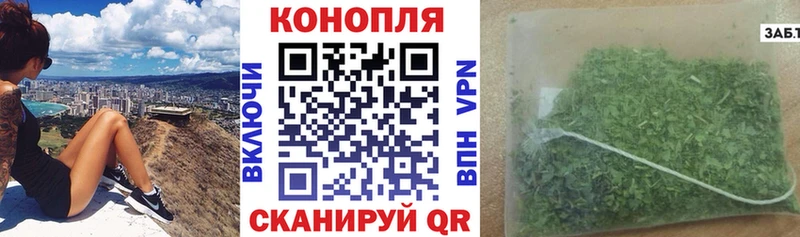 Шишки марихуана MAZAR  Купить где  Севастополь 